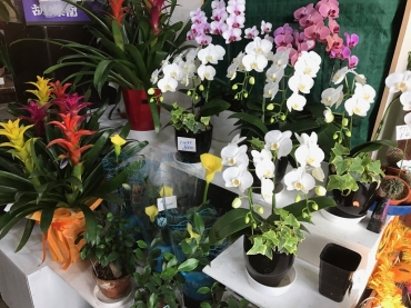 「あさの生花店」　（茨城県つくばみらい市）の花屋店舗写真1